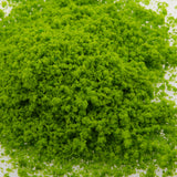Maxbell Lime Green Pore Foliage Model Scenic Material for Mini Tree DIY