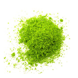 Maxbell Lime Green Pore Foliage Model Scenic Material for Mini Tree DIY