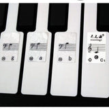 Maxbell Transparent 49 61 Key Electronic Keyboard 88 Key Piano Stave Note Sticker