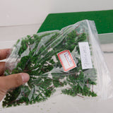 Maxbell 100pcs Green Model Trees 1:400-1:500 4cm TC40