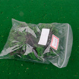 Maxbell 10pcs Multi Scale Model Trees Green 1:100-1:500