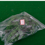 Maxbell 12pcs Green Model Trees 1:50-1:500