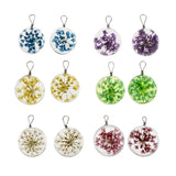 Maxbell 2pcs Round Glass Charms Pendants with Dried Flower forJewelry Making Blue