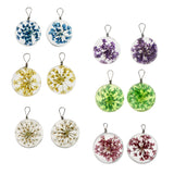 Maxbell 2pcs Round Glass Charms Pendants with Dried Flower forJewelry Making Blue