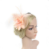 Maxbell Lady Feather Fascinator Flower Veil Hat Hairband Wedding Costume Pink