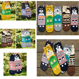 Maxbell Couple Pure Cotton Coloured Mid Calf Ankle Crew Short Socks Style 1