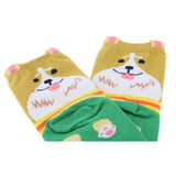 Maxbell Couple Pure Cotton Coloured Mid Calf Ankle Crew Short Socks Style 1