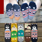 Maxbell Couple Pure Cotton Coloured Mid Calf Ankle Crew Short Socks Style 1