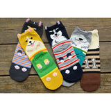 Maxbell Couple Pure Cotton Coloured Mid Calf Ankle Crew Short Socks Style 1