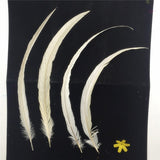 Maxbell 10PCS Dyeing Rooster Tail Feathers 35-40cm White