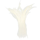 Maxbell 10PCS Dyeing Rooster Tail Feathers 35-40cm White
