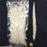 Maxbell 10PCS Dyeing Rooster Tail Feathers 35-40cm White
