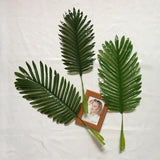 Maxbell 5PCS Artificial Coconut Tree Leaves Faux Foliage Home Decor Light Green_S