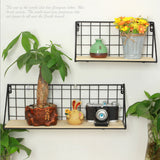 Maxbell Antique Iron Wire Wall Floating Shelves Flower Pot Planter Display Stand S