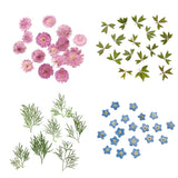 Maxbell 10x Pressed Dried Flower Dry Leaves for DIY Crafts Bookmark Cards Making 01