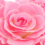 Maxbell 5pcs Artificial Silk Rose Flower Heads DIY Bouquet Wedding Decor Pink