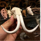 Maxbell Creative Animal Head Skull  Aquarium Decoration Elephant Head Bone