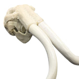 Maxbell Creative Animal Head Skull  Aquarium Decoration Elephant Head Bone