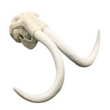 Maxbell Creative Animal Head Skull  Aquarium Decoration Elephant Head Bone