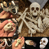 Maxbell Creative Animal Head Skull  Aquarium Decoration Skeleton