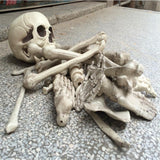 Maxbell Creative Animal Head Skull  Aquarium Decoration Skeleton