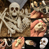 Maxbell Creative Animal Head Skull  Aquarium Decoration Skeleton