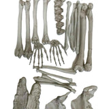 Maxbell Creative Animal Head Skull  Aquarium Decoration Skeleton