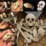 Maxbell Creative Animal Head Skull  Aquarium Decoration Skeleton