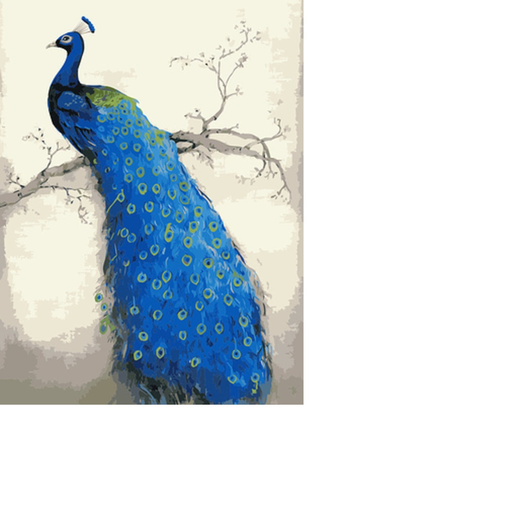Maxbell Oil Painting on Canvas Paint by Number Kits Peacock