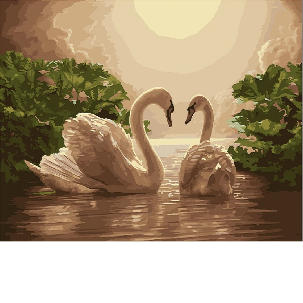 Maxbell Oil Painting on Canvas Paint by Number Kits White Swan