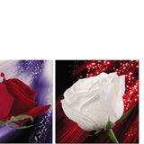 Maxbell 3 Panel Romantic Rose Canvas Wall Art Picture Canvas Print for Home Decor XL