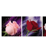 Maxbell 3 Panel Romantic Rose Canvas Wall Art Picture Canvas Print for Home Decor XL