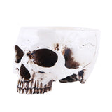 Maxbell Human Skull Head Design Flower Pot Planter Container Replica Home Deco White