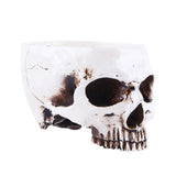 Maxbell Human Skull Head Design Flower Pot Planter Container Replica Home Deco White