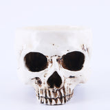 Maxbell Human Skull Head Design Flower Pot Planter Container Replica Home Deco White