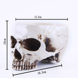 Maxbell Human Skull Head Design Flower Pot Planter Container Replica Home Deco White