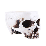 Maxbell Human Skull Head Design Flower Pot Planter Container Replica Home Deco White