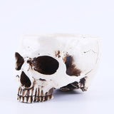 Maxbell Human Skull Head Design Flower Pot Planter Container Replica Home Deco White