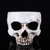 Maxbell Human Skull Head Design Flower Pot Planter Container Replica Home Deco White