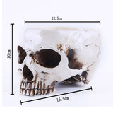 Maxbell Human Skull Head Design Flower Pot Planter Container Replica Home Deco White