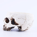 Maxbell Human Skull Head Design Flower Pot Planter Container Replica Home Deco White