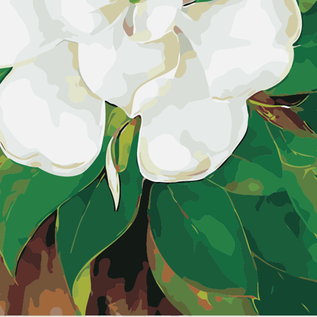 Maxbell DIY Paint By Numbers Kit Canvas Painting Wall Picture Crafts Jasmine