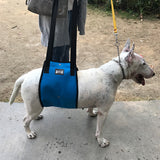 Maxbell Dog Lift Harness Mobility Lifting Aid Support Harness with Handle L Blue