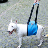 Maxbell Dog Lift Harness Mobility Lifting Aid Support Harness with Handle L Blue