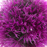 Maxbell Artificial Topiary Ball Decorative Garden Pants Ball Home Decor Purple 12cm