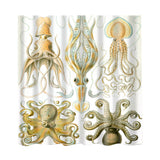 Maxbell Folk Style Bathroom Polyester Shower Curtain with 12 Hooks Set Octopus