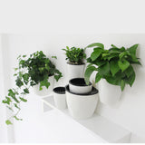 Maxbell Garden Self-watering Plant Flower Pot Wall Hanging Plastic Planter S white