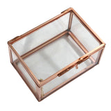 Maxbell Modern Glass Metal Cuboid Geometric Terrarium Succulent Plants Container S