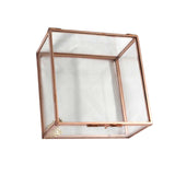 Maxbell Modern Glass Metal Cuboid Geometric Terrarium Succulent Plants Container L