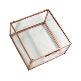 Maxbell Modern Glass Metal Cuboid Geometric Terrarium Succulent Plants Container L